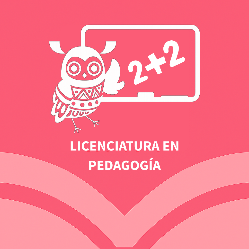 Licenciatura